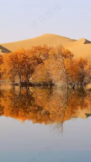 沙漠绿洲高清摄影图片