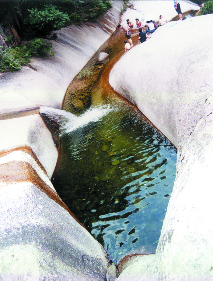 鲤鱼恋水