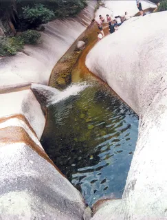 鲤鱼恋水 鲤鱼恋水