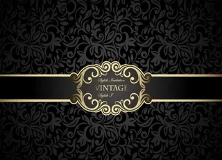 带边框黑白底纹背景矢量图