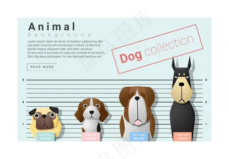 量身高的小狗图片