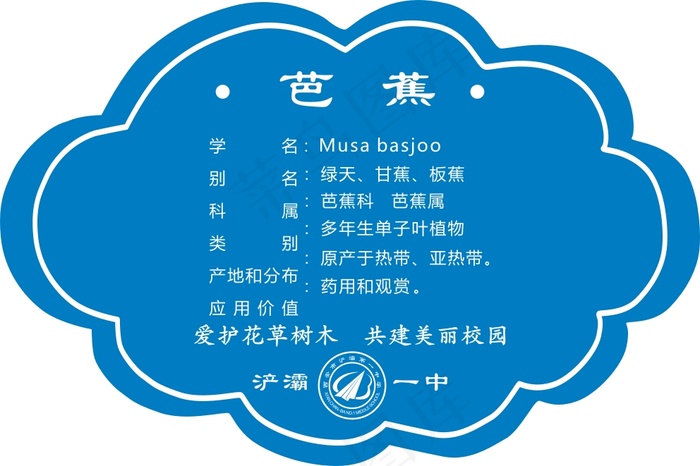 芭蕉cdr矢量模版下载