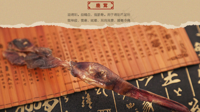 补肾胶囊成分介绍 鹿茸psd模版下载