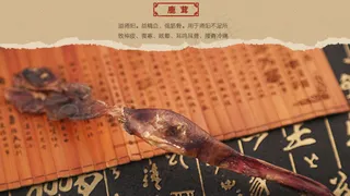 补肾胶囊成分介绍 鹿茸