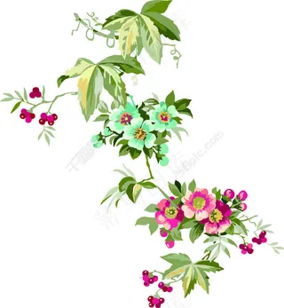 鲜花红果水彩手绘