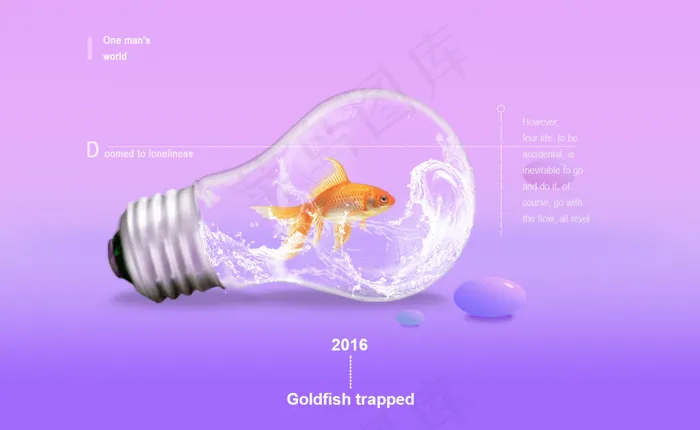 孤独的小金鱼(1301X800(DPI:72))psd模版下载