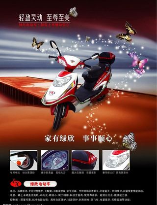 绿欣电动车图片