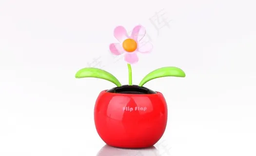 太阳能小花图片