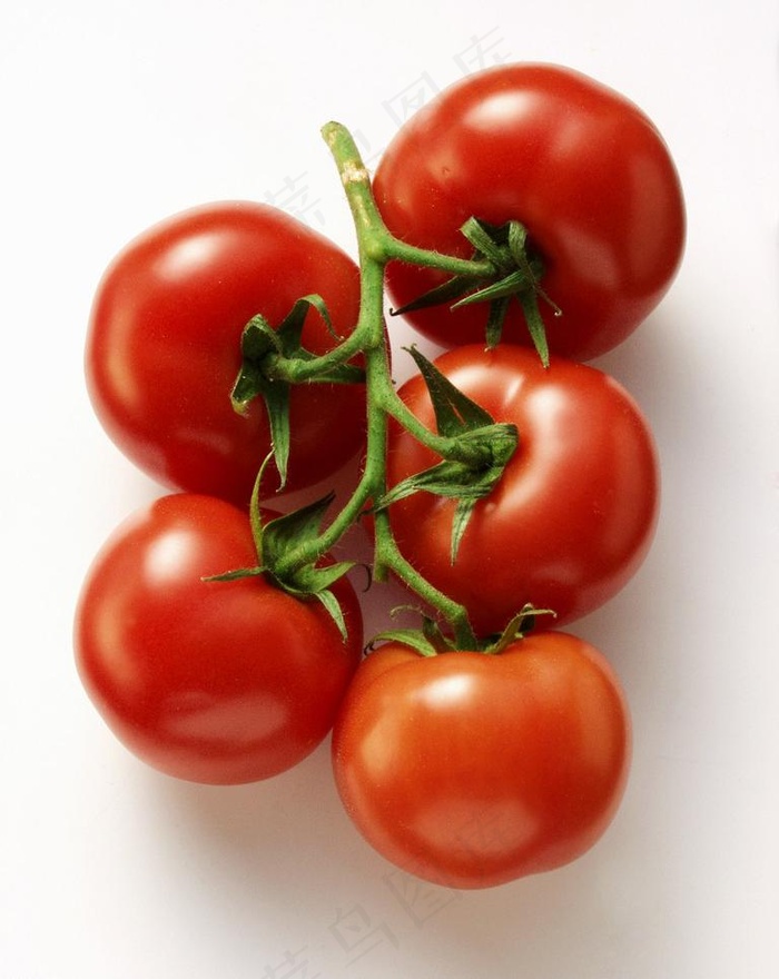 西红柿图片