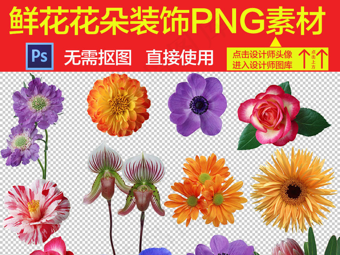 各种菊花玫瑰花花朵PNG素材合集