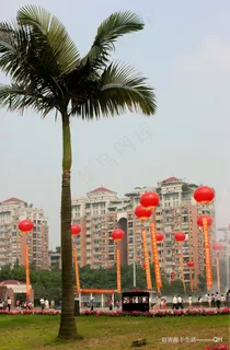 内江大洲广场图片