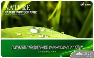 清新绿叶晶莹水珠PPT模板