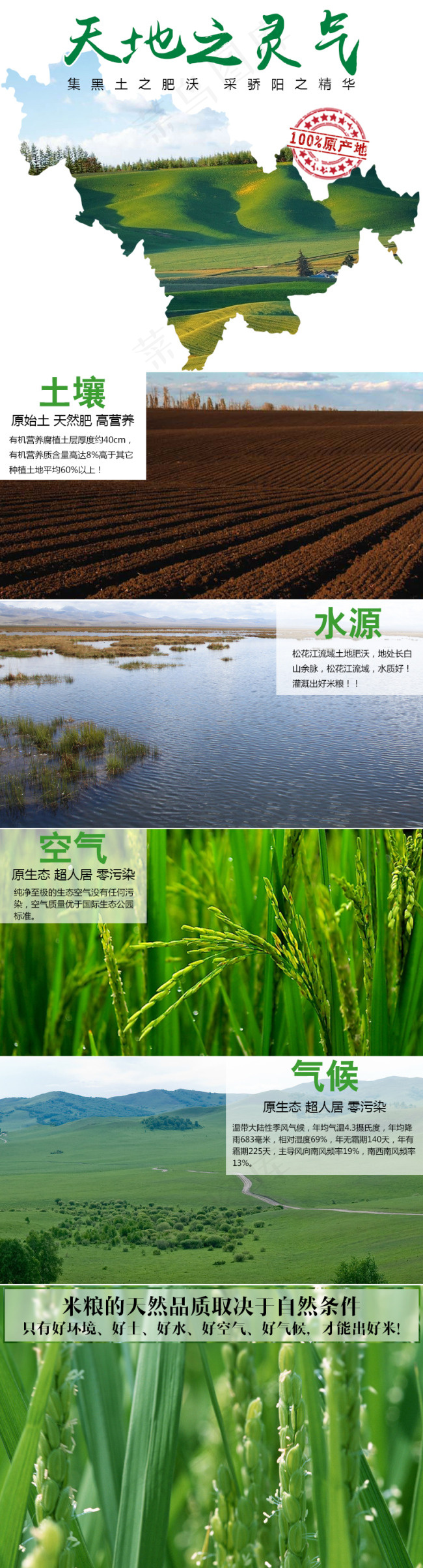 粮食产品介绍东北有机粮食详情psd模版下载