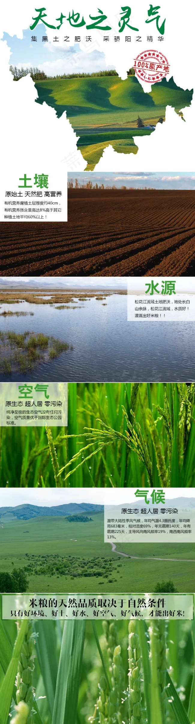 粮食产品介绍东北有机粮食详情psd模版下载