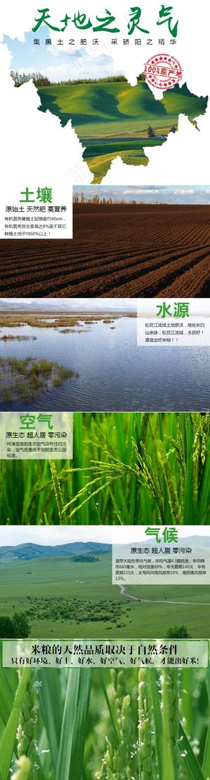 粮食产品介绍东北有机粮食详情