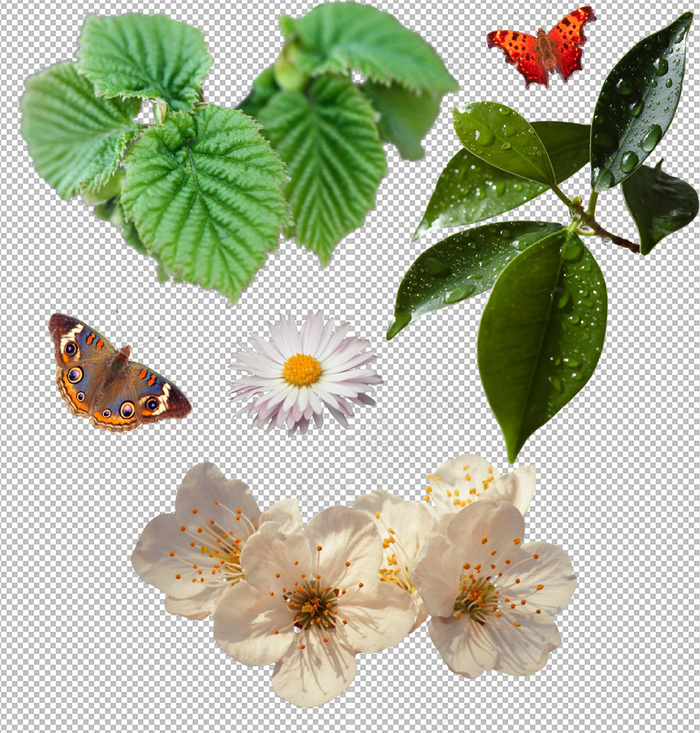 树叶动物素材免扣