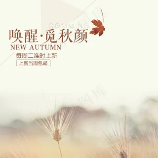 秋冬淘宝商品直通车促销模板素材