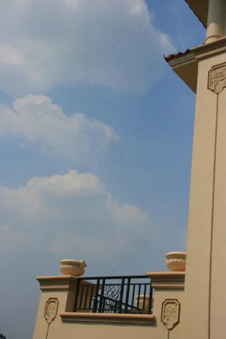 万科 佛山 天鹅湖 地产 别墅 欧...