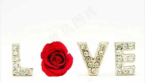 情人节 玫瑰花图片