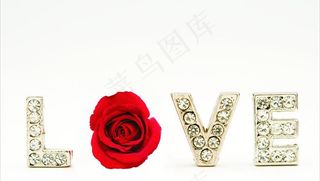 情人节 玫瑰花图片