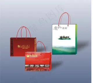 精美手提袋(可编辑)图片