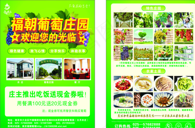 农庄彩页 葡萄彩页图片(210X297)cdr矢量模版下载