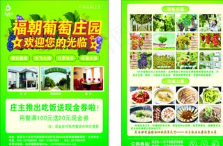 农庄彩页 葡萄彩页图片