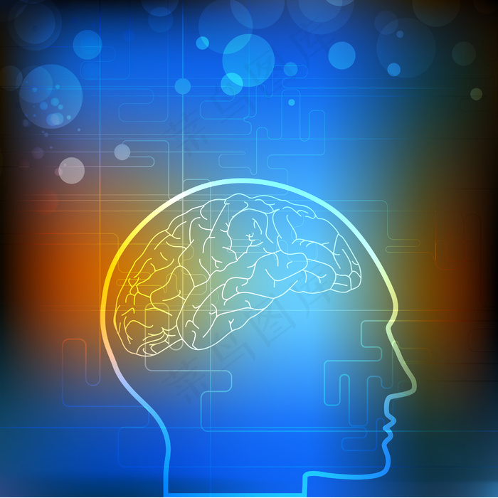 向量的医学背景或模板与人类脑图