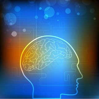 向量的医学背景或模板与人类脑图