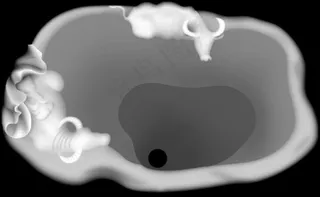 荷花牛童茶盘素材