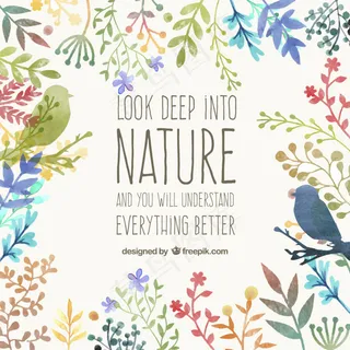 手绘植物小鸟矢量素材