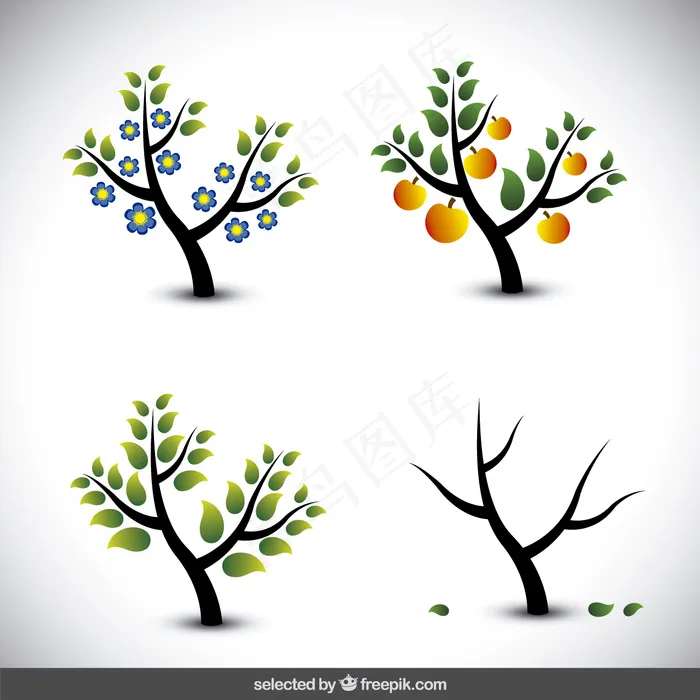 树插图在不同的季节ai矢量模版下载