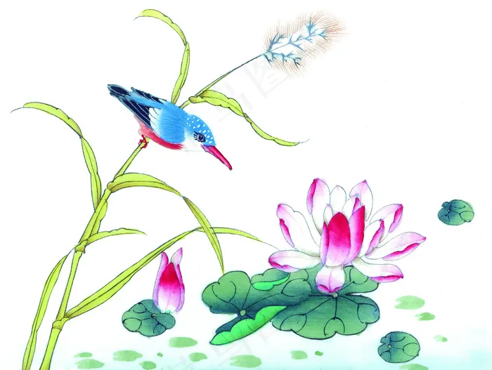 翠鸟荷花芦苇