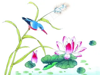 翠鸟荷花芦苇