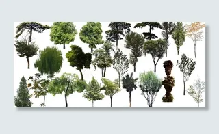 园林景观花草树林透视鸟瞰psd分层...