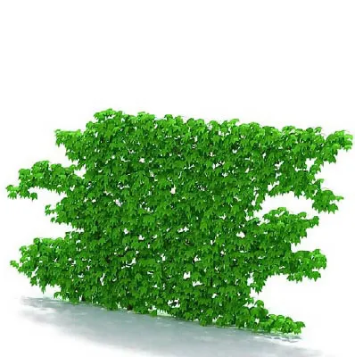 园林植物、景观植物、树木3D模型免...