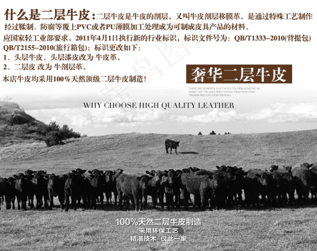 淘宝什么是二层牛皮介绍psd模版下载