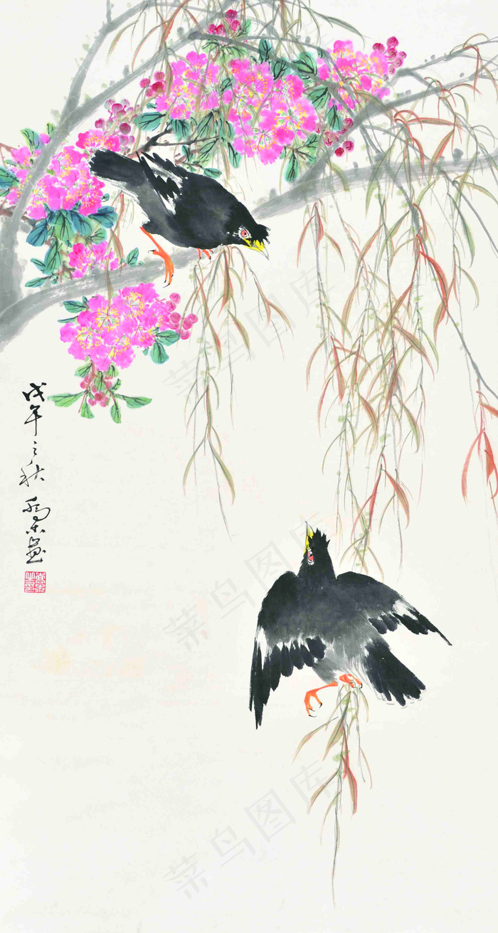 桃花八哥图片