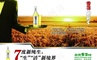 雪花新纯生图片