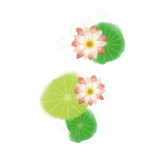 小清新风手绘荷花