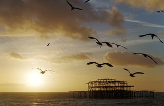湖面海鸥风景素材图