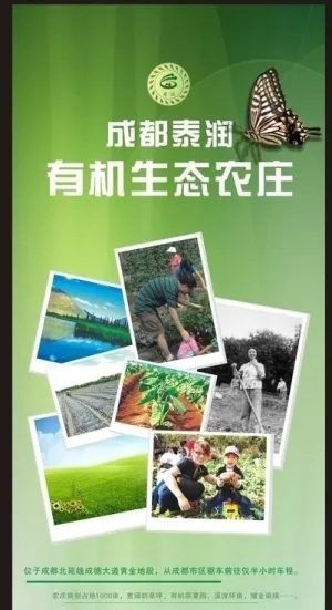 有机生态农庄易拉宝图片