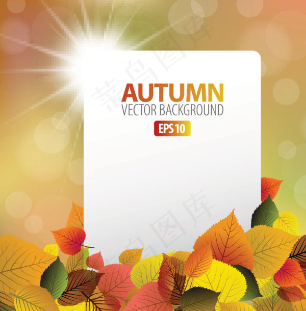 精美枫叶背景01——矢量素材