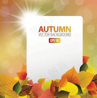 精美枫叶背景01——矢量素材