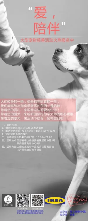 宠物用品慈善义卖人员招募易拉宝