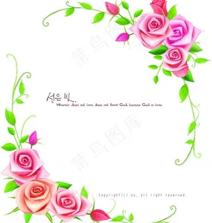 玫瑰花边图片