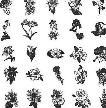 25款各种线描花卉图片eps,ai矢量模版下载
