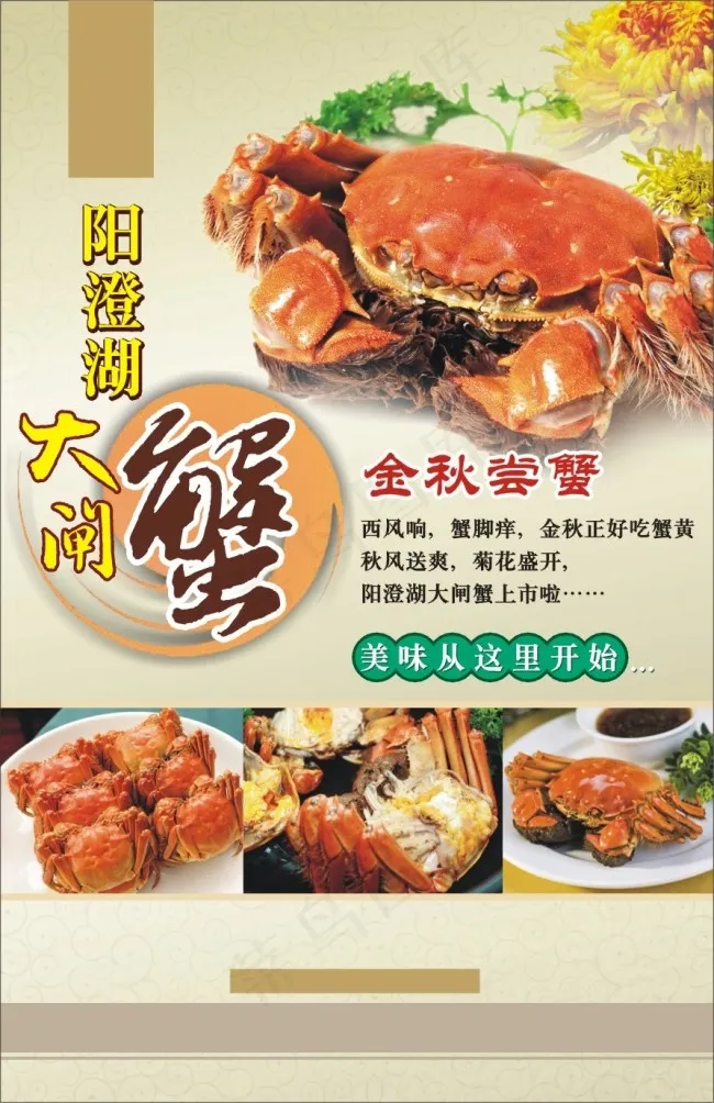 阳澄湖大闸蟹海报宣传单页cdr矢量模版下载