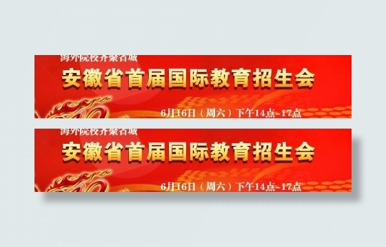 安徽国际招生会图片