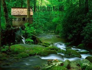 电脑ppt封面春天的气息绿色背景...